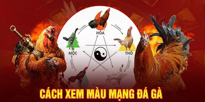 Phân tích màu mạng đá gà theo từng mùa trong năm