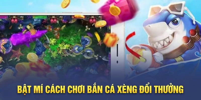 Bí kíp săn cá đẳng cấp khi chơi trên 789P