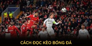 Cách đọc kèo bóng đá