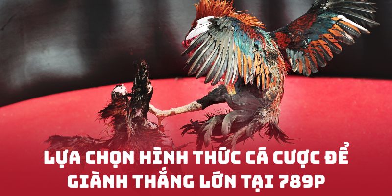 Lựa chọn hình thức cá cược để giành thắng lớn tại 789P