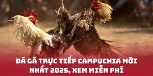 Đá gà trực tiếp campuchia