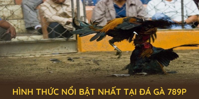 Tìm hiểu các hình thức nổi bật nhất tại đá gà 789P