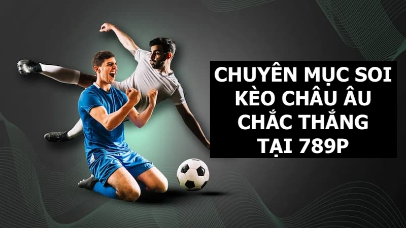 Kinh nghiệm cá độ kèo 1X2 chắc thắng cho người chơi mới