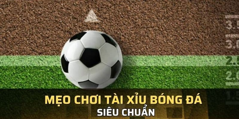 Kinh nghiệm giúp thành viên đặt cược ăn thưởng lớn