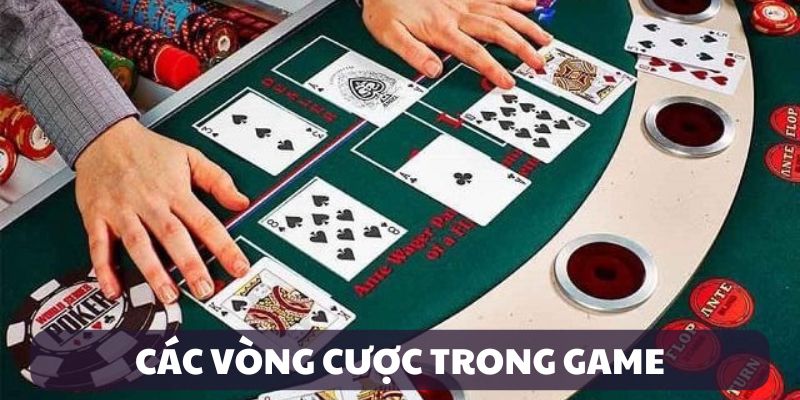 Hệ thống vòng cược Poker