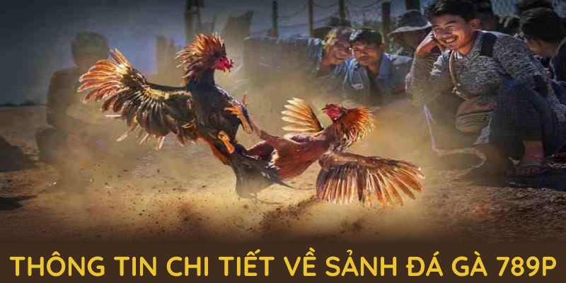 Thông tin chi tiết về sảnh đá gà 789P