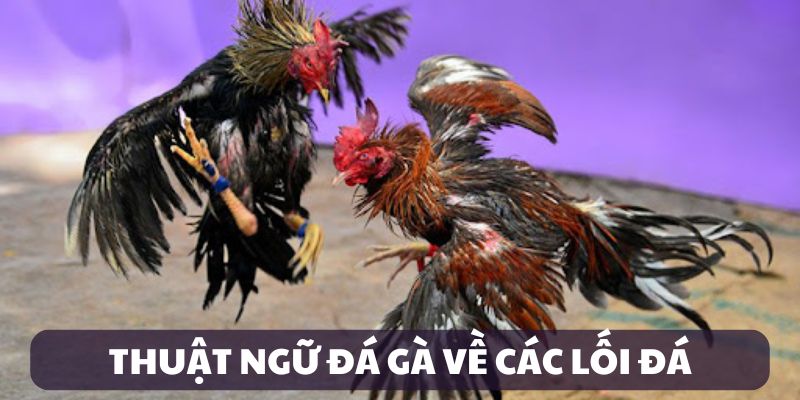 Thuật ngữ đá gà về các lối đá