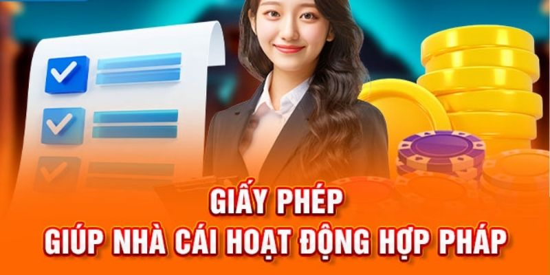 Tổng quan về giấy phép hoạt động 789P