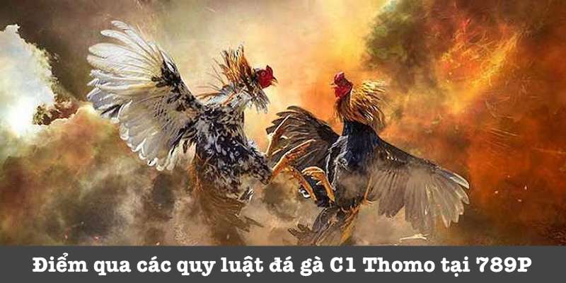 Quy định của trường gà C1 Thomo